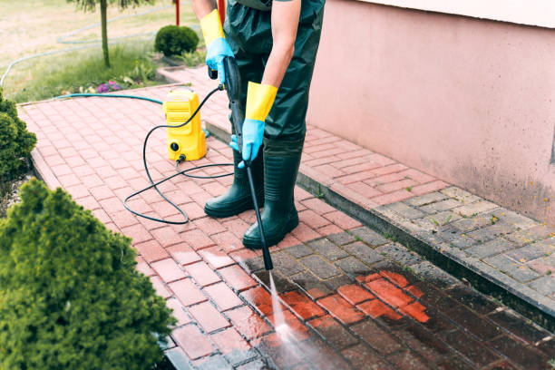 Best Vinyl Siding Pressure Washing in Port Isabel, TX
