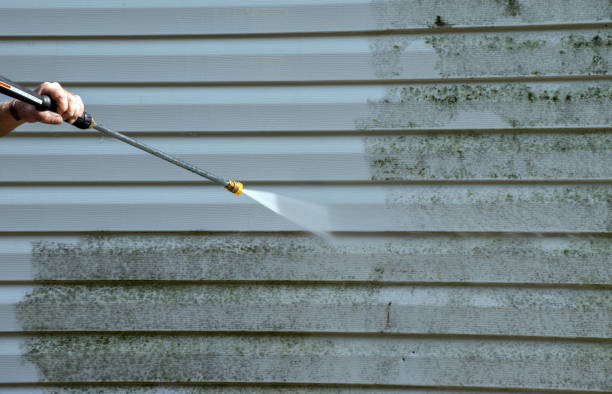 Reliable Port Isabel, TX Pressure Washing Services Solutions